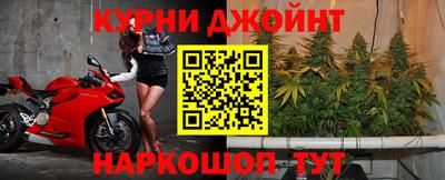 ПСИЛОЦИБИНОВЫЕ ГРИБЫ Боровичи