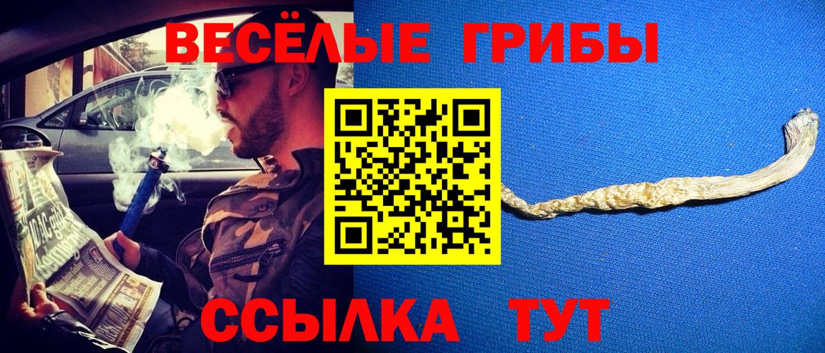 Артёмовский  Галлюциногенные грибы Cubensis  Галлюциногенные грибы GOLDEN TEACHER  купить   Вход с VPN 